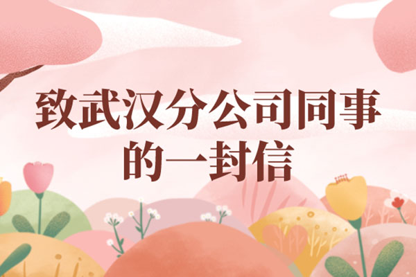 致武汉分公司同事的一封信